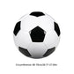 Size 5 Training Soccer Ball