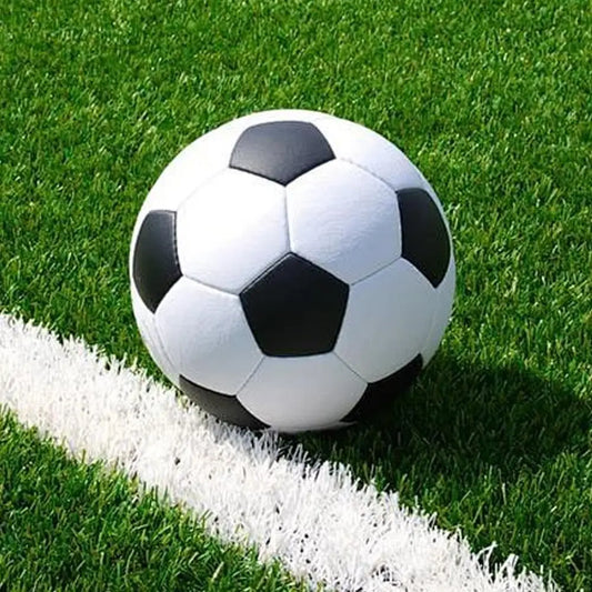 Size 5 Training Soccer Ball